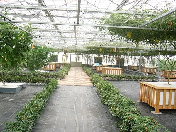 生態餐廳